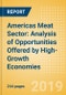 Opportunities in the Americas Meat Sector: Analysis of Opportunities Offered by High-Growth Economies - Product Thumbnail Image