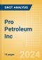 Pro Petroleum Inc - Strategic SWOT Analysis Review - Product Thumbnail Image