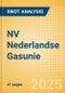 NV Nederlandse Gasunie - Strategic SWOT Analysis Review - Product Thumbnail Image