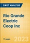 Rio Grande Electric Coop Inc - Strategic SWOT Analysis Review - Product Thumbnail Image