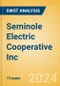 Seminole Electric Cooperative Inc - Strategic SWOT Analysis Review - Product Thumbnail Image