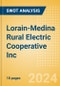 Lorain-Medina Rural Electric Cooperative Inc - Strategic SWOT Analysis Review - Product Thumbnail Image