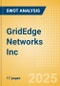 GridEdge Networks Inc - Strategic SWOT Analysis Review - Product Thumbnail Image