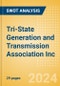 Tri-State Generation and Transmission Association Inc - Strategic SWOT Analysis Review - Product Thumbnail Image