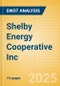 Shelby Energy Cooperative Inc - Strategic SWOT Analysis Review - Product Thumbnail Image