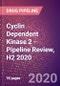 Cyclin Dependent Kinase 2 - Pipeline Review, H2 2020 - Product Thumbnail Image