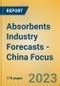 Absorbents Industry Forecasts - China Focus - Product Thumbnail Image