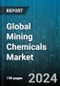 Global Mining Chemicals Market by Type (Collectors, Dust Suppressants, Flocculants), Metal Type (Base Metals, Non-metallic Minerals, Precious Metals), Application - Forecast 2024-2030 - Product Image