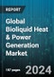 Global Bioliquid Heat & Power Generation Market by Type (Biodiesel, Bioethanol), Application (Heat Generation, Power Generation) - Forecast 2024-2030 - Product Thumbnail Image
