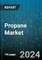 Propane Market by Form, Product Type, Grade, Application - Global Forecast 2025-2030 - Product Thumbnail Image