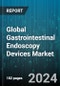Global Gastrointestinal Endoscopy Devices Market by Product (Biopsy Devices, Capsule Endoscopy, ECRP Devices), End User (Clinics, Hospitals) - Forecast 2024-2030 - Product Thumbnail Image