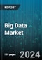 Big Data Market by Component, Type, Depoyment, Vertical - Global Forecast 2025-2030 - Product Image