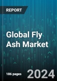 Global Fly Ash Market by Type (Class C, Class F), Application (Agriculture, Building & Construction, Geopolymer) - Forecast 2024-2030- Product Image