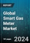 Global Smart Gas Meter Market by Component (Hardware, Software), Technology (Advanced Metering Infrastructure, Automated Meter Reading), Type, End-User - Forecast 2024-2030 - Product Thumbnail Image