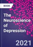 The Neuroscience of Depression- Product Image