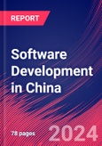 Software Development in China - Industry Market Research Report- Product Image