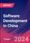 Software Development in China - Industry Market Research Report - Product Image