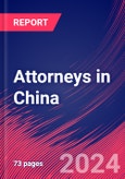 Attorneys in China - Industry Market Research Report- Product Image