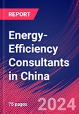 Energy-Efficiency Consultants in China - Industry Market Research Report- Product Image