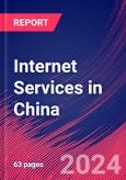 Internet Services in China - Industry Market Research Report- Product Image