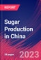 Sugar Production in China - Industry Market Research Report - Product Image