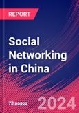 Social Networking in China - Industry Market Research Report- Product Image