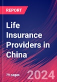 Life Insurance Providers in China - Industry Market Research Report- Product Image