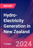 Hydro-Electricity Generation in New Zealand - Market Size, Industry Analysis, Trends and Forecasts (2024-2029)- Product Image