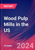 Wood Pulp Mills in the US - Industry Market Research Report- Product Image