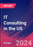 IT Consulting in the US - Market Research Report (2014-2029)- Product Image