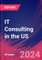 IT Consulting in the US - Market Research Report (2014-2029) - Product Image