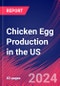 Chicken Egg Production in the US - Market Size, Industry Analysis, Trends and Forecasts (2024-2029) - Product Thumbnail Image