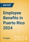 Employee Benefits in Puerto Rico 2024 - Product Thumbnail Image