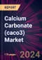 Calcium Carbonate (caco3) Market 2025-2029 - Product Image