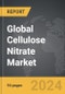 Cellulose Nitrate - Global Strategic Business Report - Product Thumbnail Image