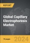 Capillary Electrophoresis - Global Strategic Business Report - Product Thumbnail Image