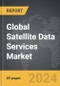 Satellite Data Services - Global Strategic Business Report - Product Thumbnail Image