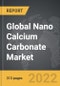 Nano Calcium Carbonate - Global Strategic Business Report - Product Thumbnail Image