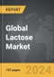 Lactose - Global Strategic Business Report - Product Thumbnail Image