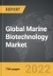 Marine Biotechnology - Global Strategic Business Report - Product Thumbnail Image