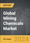 Mining Chemicals - Global Strategic Business Report - Product Thumbnail Image