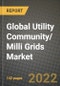 2022 Future of Global Utility Community/ Milli Grids Market Outlook to 2030 - Growth Opportunities, Competition and Outlook of Utility Community/ Milli Grids Market across Different Applications and Regions Report - Product Thumbnail Image