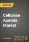 2024 Cellulose Acetate Market Outlook Report: Industry Size, Market Shares Data, Insights, Growth Trends, Opportunities, Competition 2023 to 2031 - Product Thumbnail Image