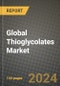 Global Thioglycolates Market Outlook Report: Industry Size, Competition, Trends and Growth Opportunities by Region, YoY Forecasts from 2024 to 2031 - Product Thumbnail Image