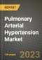 Pulmonary Arterial Hypertension Market Growth Analysis Report - Latest Trends, Driving Factors and Key Players Research to 2030 - Product Thumbnail Image