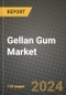 2025 Gellan Gum Market Report - Industry Size, Competition, Trends and Growth Opportunities by Region - Forecast by Types and Applications (2024-2032) - Product Thumbnail Image