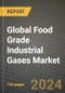 Global Food Grade Industrial Gases Market Outlook Report: Industry Size, Competition, Trends and Growth Opportunities by Region, YoY Forecasts from 2024 to 2031 - Product Image