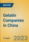 Gelatin Companies in China - Product Thumbnail Image