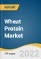 Wheat Protein Market Size, Share & Trends Analysis Report By Product (Wheat Gluten, Wheat Protein Isolate, Textured Wheat Proteins, Wheat Protein Hydrolysates), By Protein Concentration, By Application, By Region, And Segment Forecasts, 2022 - 2030 - Product Thumbnail Image