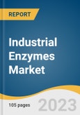 Industrial Enzymes Market Size, Share & Trends Analysis Report by Product (Carbohydrase, Proteases), Source (Plants, Animals, Microorganisms), Application (Food & Beverages, Detergents, Animal Feed), Region, and Segment Forecasts, 2024-2030- Product Image